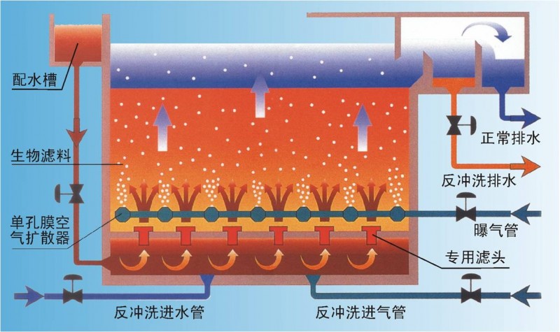 曝气生物滤池构造图