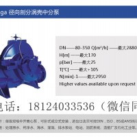 KSB凯士比Omega系列轴向剖分涡壳泵-荣泽节能