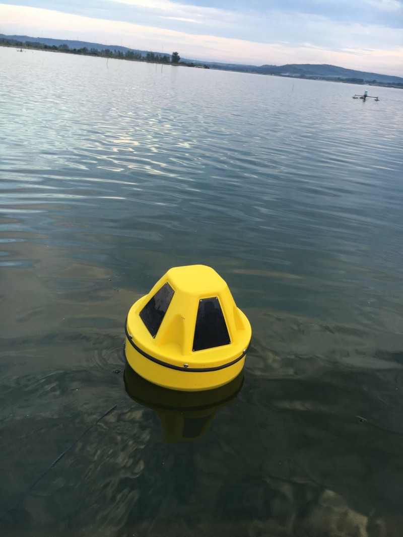 水产养殖浮标