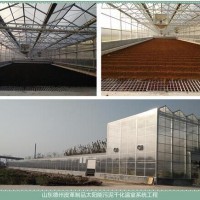 煜林枫太阳能皮革污泥干化处理系统