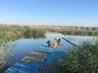 绵阳水生态修复治理浮动湿地载体正大森立