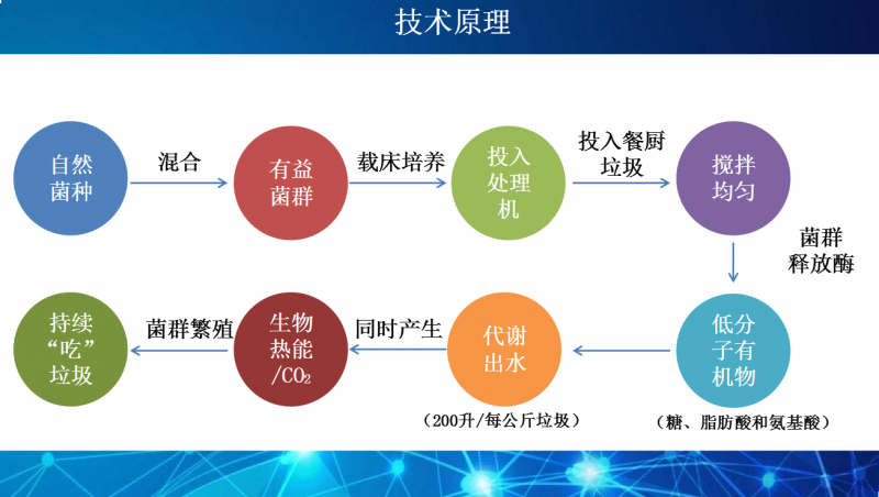 QQ截图20200423115428