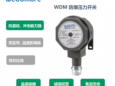 锅炉配套WDM机械式压力开关/WDM防爆压力开关