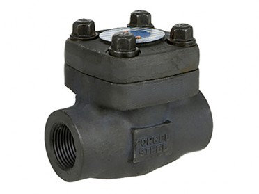 1 Inch Forged Swing Check Valve, A105N, 800 LB, Threaded