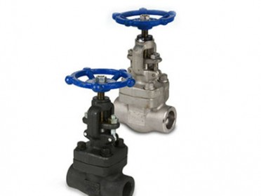 API 602 Threaded Forged Globe Valve, 1/4 Inch, CL800, Rising Stem