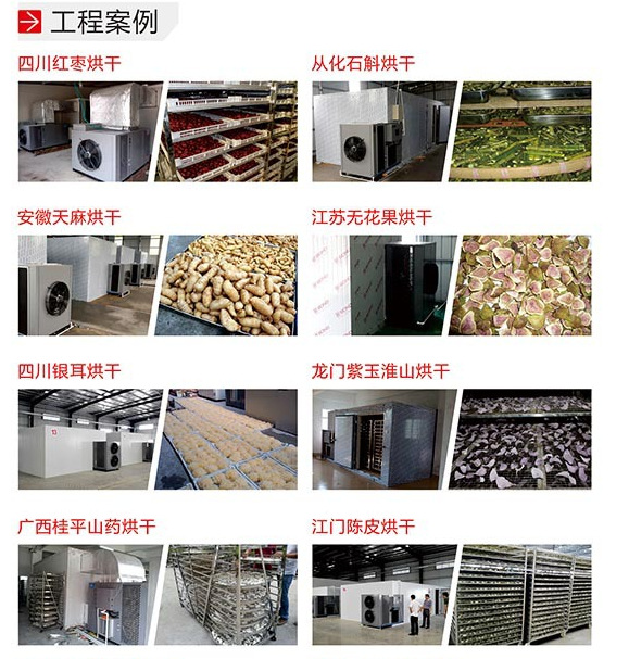 4463900915_1127403055