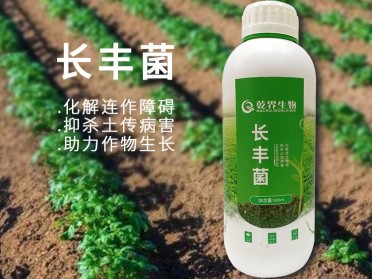 乾界生物 长丰菌 治疗农业重茬连作障碍