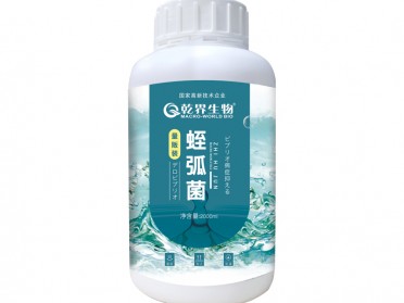 乾界生物 苗场专用新蛭弧菌 高浓缩含菌量更高 防治对虾弧菌感染病