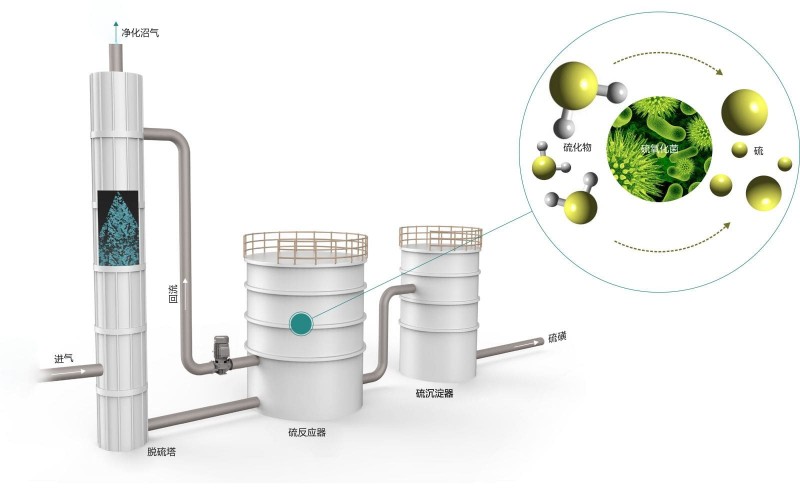 沼气生物脱硫系统