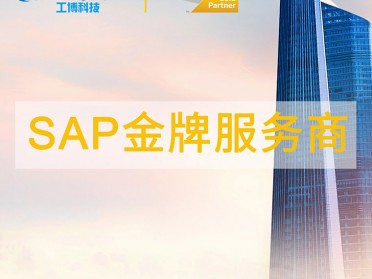 sap软件供应商 sap erp系统实施选择工博科技