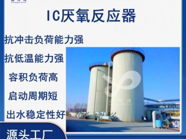 澳祥润环保AIC厌氧反应器