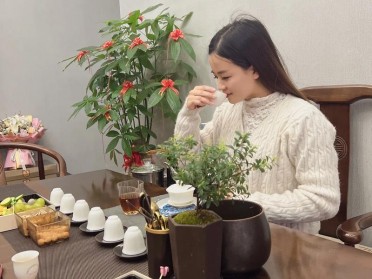 成都品茶喝茶攻略：分享成都本地品茶工作室宝藏qt茶舍