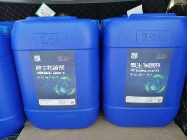 高效氨氮降解菌剂/液体硝化菌剂