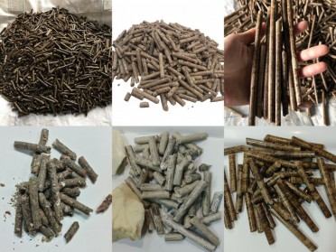 紧抓“十五五”绿色发展新机遇 赋能固废资源化 瀚蓝RDF成型机助力RDF产业升级