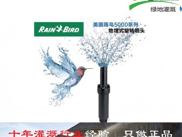 美国雨鸟5004地埋式旋转喷头