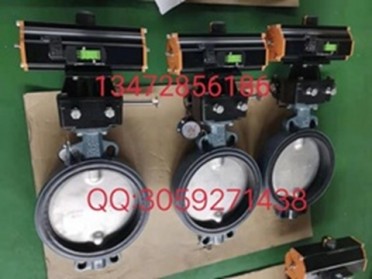 原装正品Z001-A型德国依博罗蝶阀 DN40-DN500