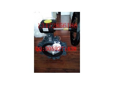 德国依博罗Z014-A支耳式蝶阀DN40-DN500