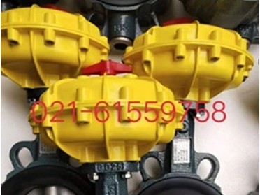 原装正品 德国依博罗EBRO气动扇形蝶阀  价格优惠