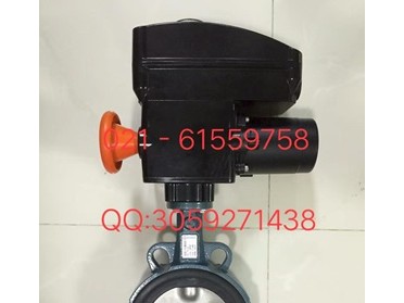 德国依博罗中线软密封蝶阀 EBRO原装正品