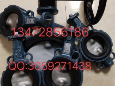 保证原装正品德国EBRO依博罗涡轮蝶阀 Z011-A速发货